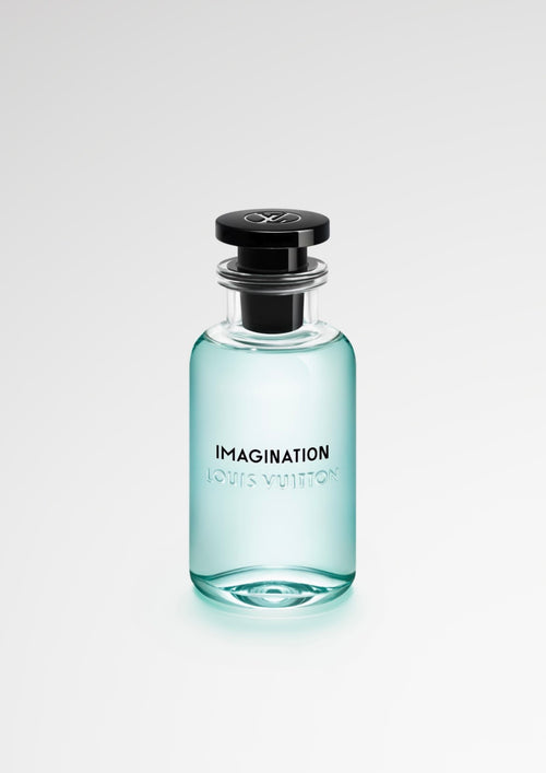 Imagination